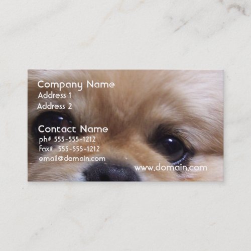 Cute Pekingese Puppy Business Cards