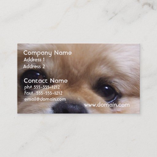 Customizable Cute Pekingese Puppy Business Cards