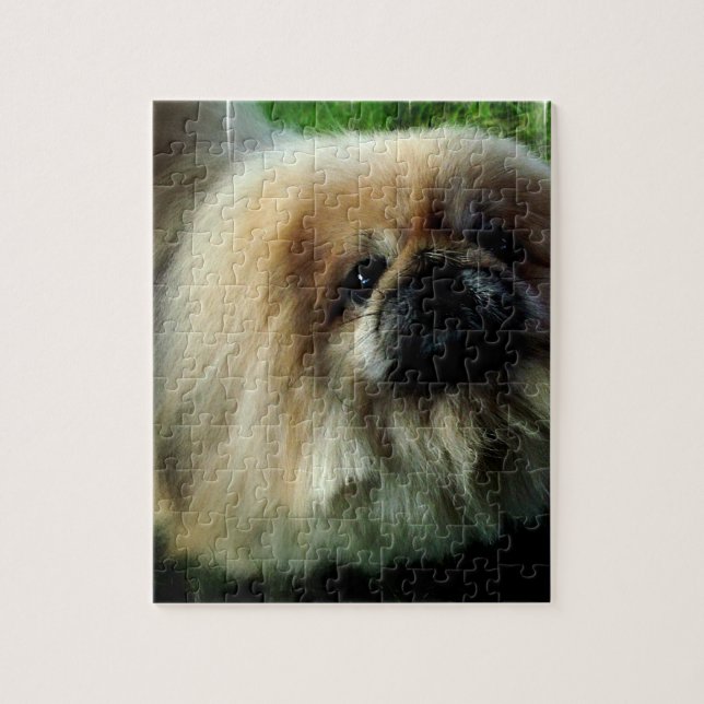 Cute Pekingese  Puzzle (Vertical)