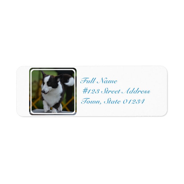 Cute Pembroke Corgi Dog Label (Front)