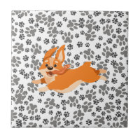 Cute Pembroke Welsh Corgi