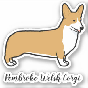 Cute Pembroke Welsh Corgi Dog Breed Vinyl Sticker