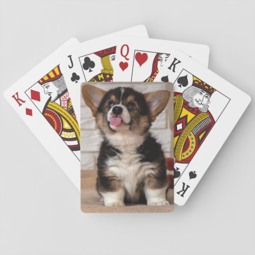 Cute Pembroke Welsh Corgi Puppy Dog Playing Cards