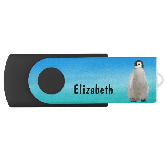 Cute Penguin Animal Personalized Name Flash Drive (Front)