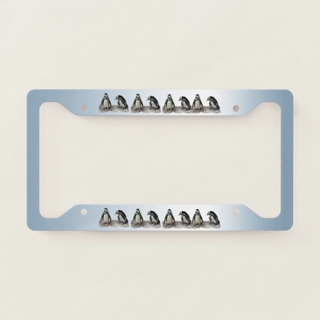 Cute Penguin Birds Blue License Plate Frame (Front)