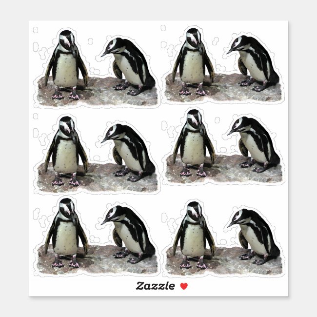 Cute Penguin Birds Contour Sticker