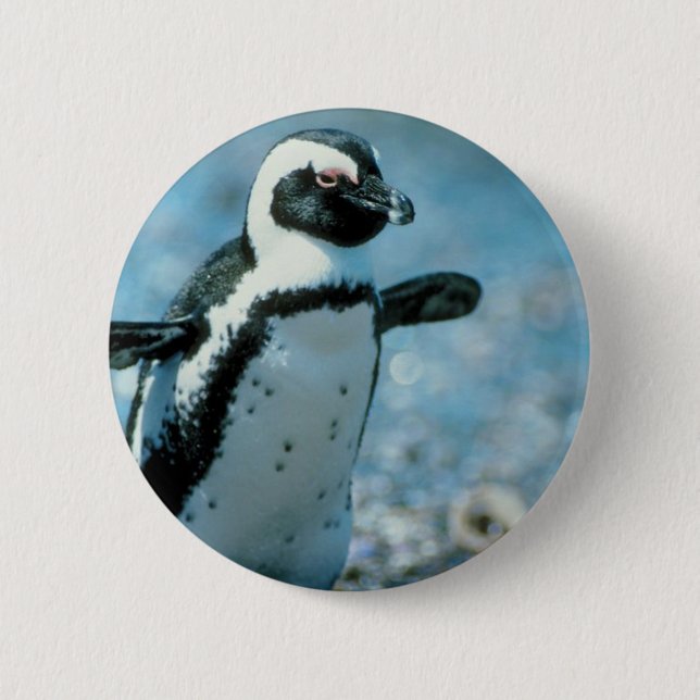 Cute Penguin Button (Front)