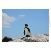 Cute Penguin Keeping in Touch Blank Card (Front Horizontal)