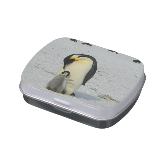 Cute penguin mother and baby jelly belly tin (Side)