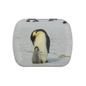 Cute penguin mother and baby jelly belly tin (Top)