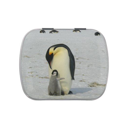 Cute penguin mother and baby jelly belly tin (Top)
