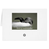 Cute Penguin Swimming Blank Card (Back Horizontal)