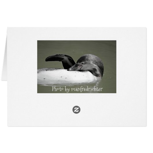 Cute Penguin Swimming Blank Card (Back Horizontal)