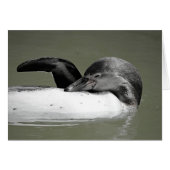 Cute Penguin Swimming Blank Card (Front Horizontal)