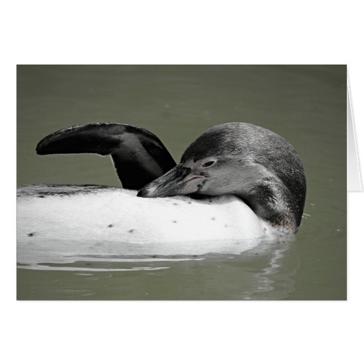 Cute Penguin Swimming Blank Card (Front Horizontal)