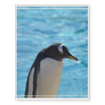 Cute Penguin Temporary Tattoos