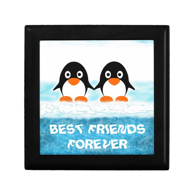 Cute Penquin On Iceberg Box-Best Friends Jewelry Box (Front)