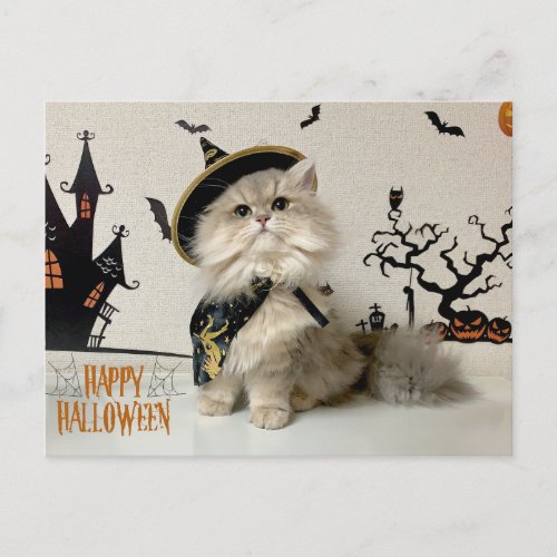 Cute Persian Cat in Halloween Costume  Holiday Postcard
