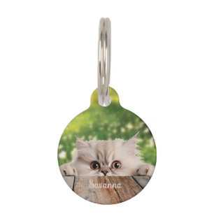 Cute Persian Peeking Cat Pet ID Tag