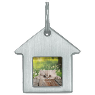 Cute Persian Peeking Cat  Pet ID Tag