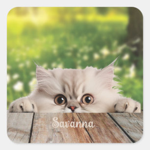 Cute Persian Peeking Cat Square Sticker