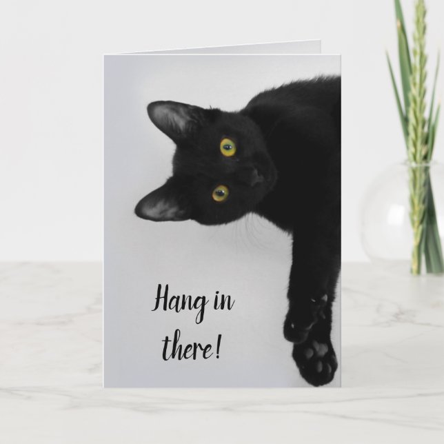 Cute Personalized Black Cat  Get Well Card (Front)