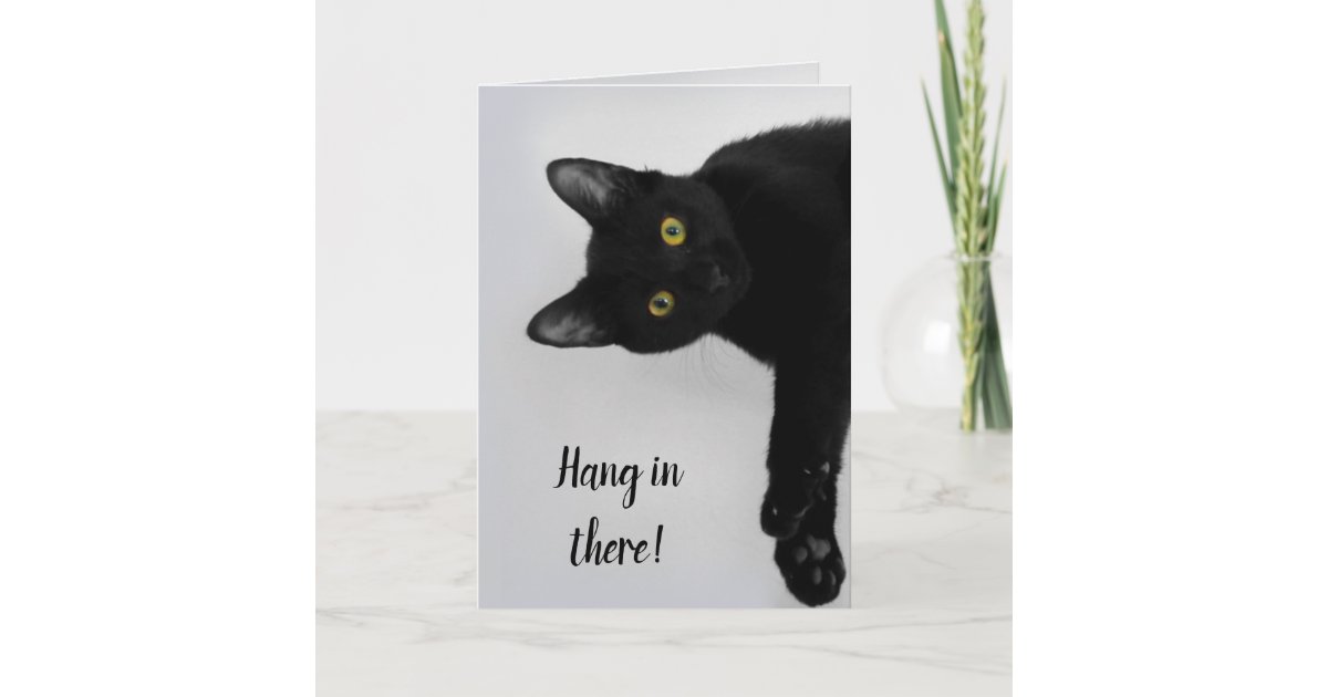 Cute Personalized Black Cat Get Well Card | Zazzle