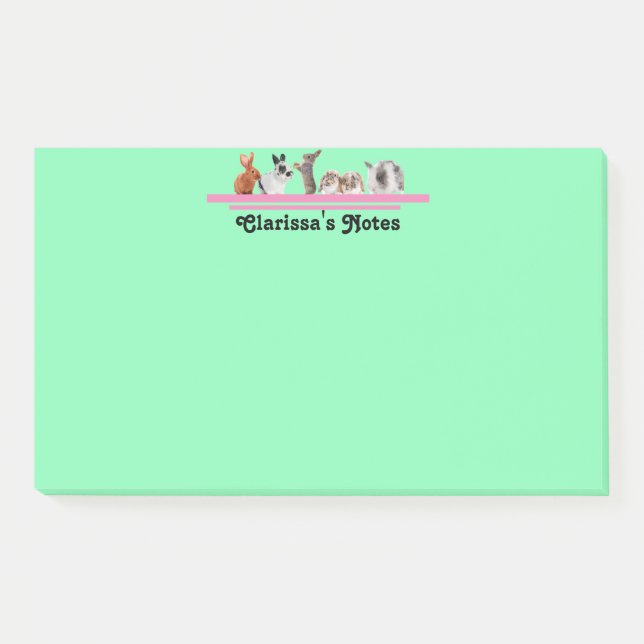 Cute Personalized Bunny Stationery Sticky Post-it  Notes (Front)