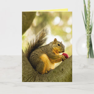 Cute Personalized Customizable Squirrel Card
