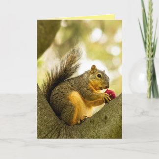 Cute Personalized Customizable Squirrel Card