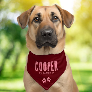 Cute Personalized Name Pet Bandana Collar