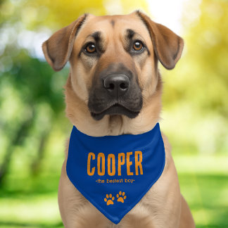 Cute Personalized Name Pet Bandana Collar