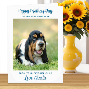 Cute Personalized Pet Dog Photo Happy Mother's Day Card