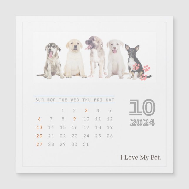 Cute Personalized Pet Lovers 2024 Photo Calendar (Front)