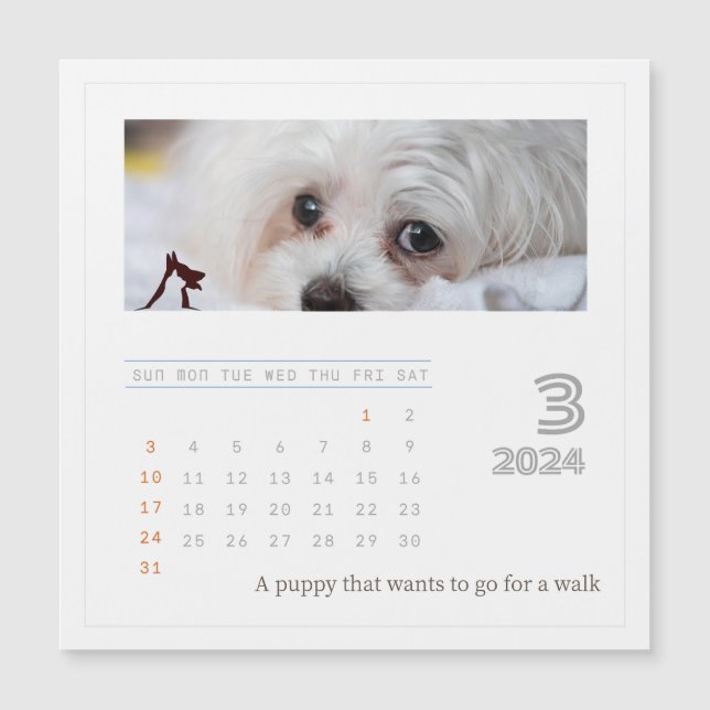 Cute Personalized Pet Lovers 2024 Photo Calendar (Front)