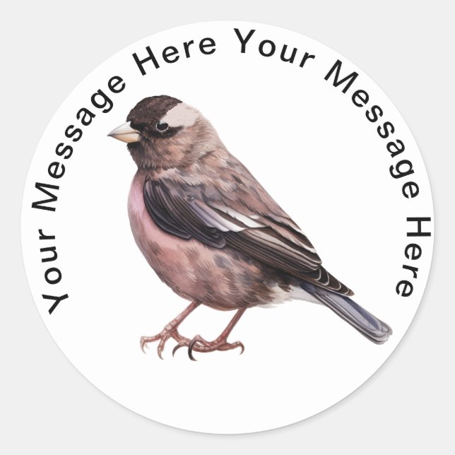 Cute Personalized Stickers Black Rosy Finch (Front)