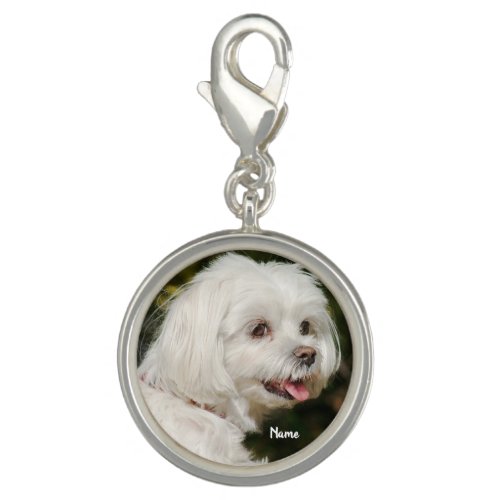 Cute Personalized White Maltese Puppy Dog Charm