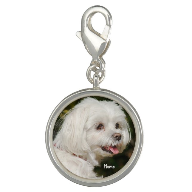 Cute Personalized White Maltese Puppy Dog Charm (Front)