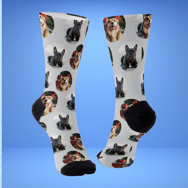 Cute Pet 2 Dog Photo Socks (Creator Uploaded)