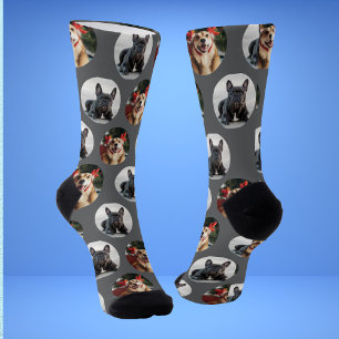 Cute Pet 2 Dog Photo Socks