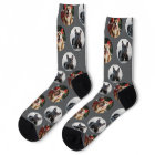 Cute Pet 2 Dog Photo Socks