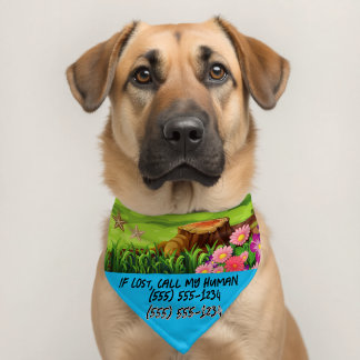 Cute Pet Accessory Bandana Collar