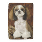 Cute Pet Animal