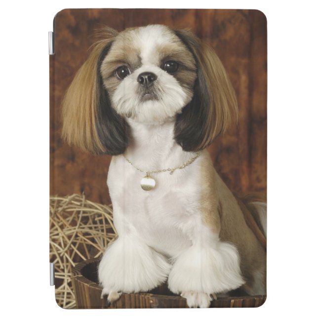 Cute Pet Animal iPad Air Cover (Front)