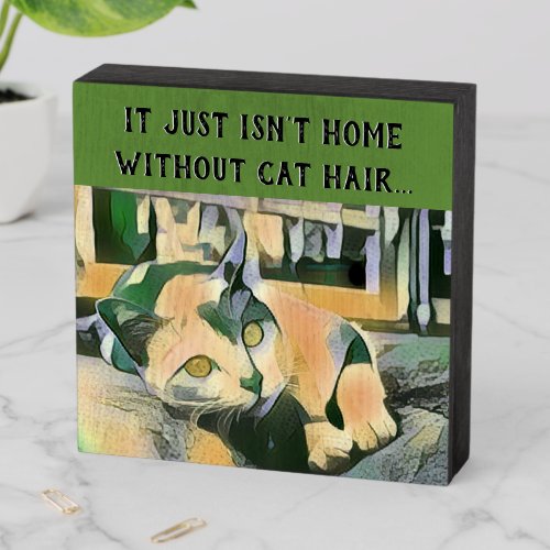 Cute Pet Art Funny Home Without Cat Hair Wooden Box Sign