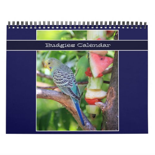 Cute Pet Budgie Parrot Photography 2024 Birds Calendar