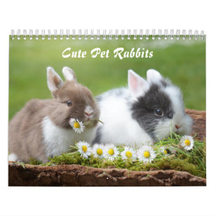 Cute Pet Bunny Rabbits Calendar