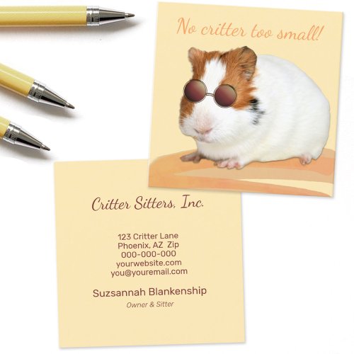 Cute Pet Care Guinea Pig Photograph Square Business Card