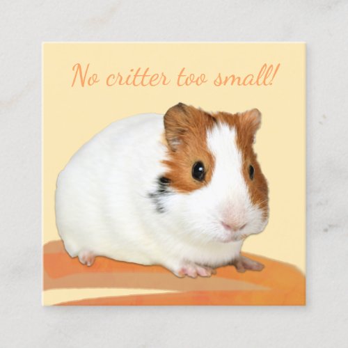 Cute Pet Care Guinea Pig QR Code Square Business Card