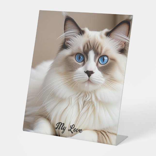  Cute  Pet Cat Banner personalize Pedestal Sign (Front)